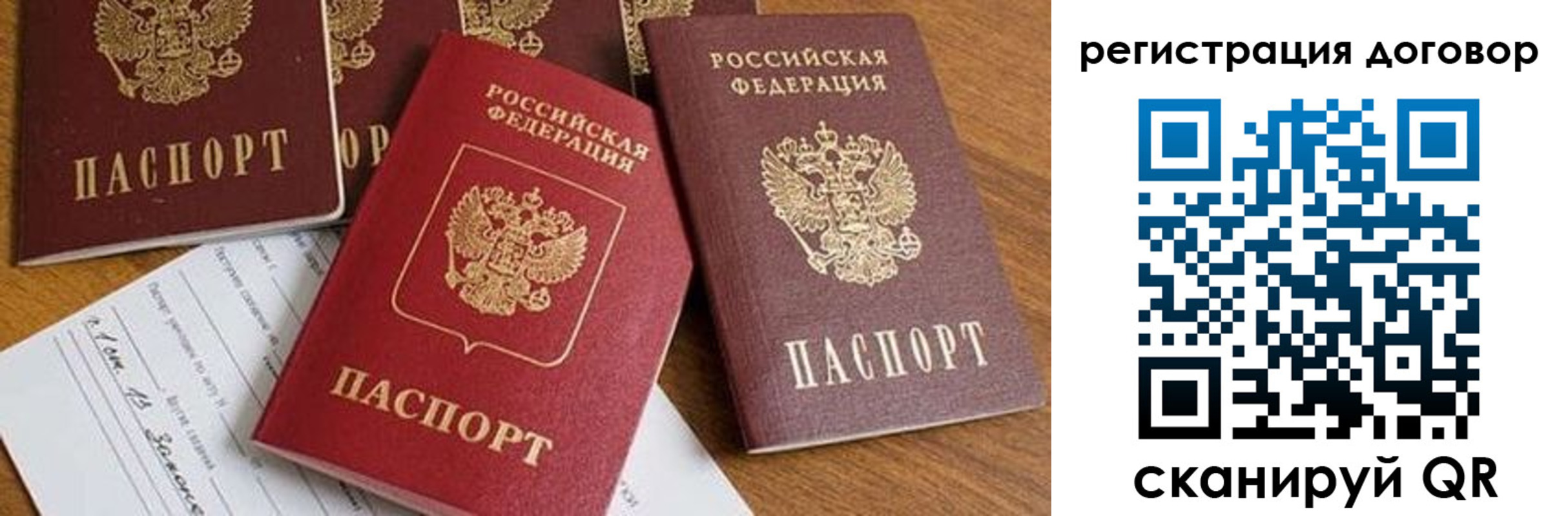 временная регистрация поиск в Долгопрудном